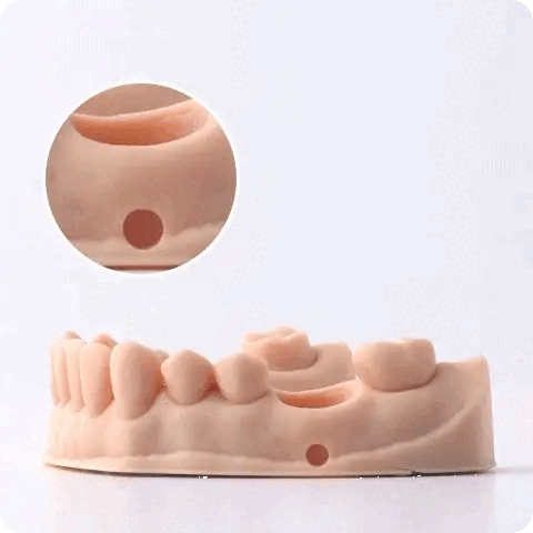 Ein mit dem Dental Model-Kunststoff 3D-gedrucktes Zahnmodell